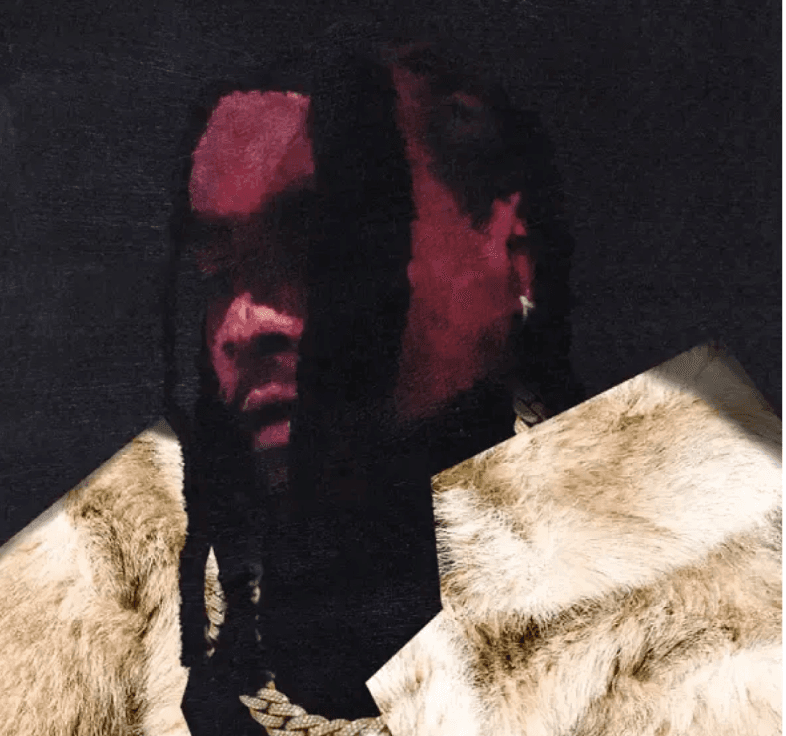 Wale Exclusive Video 2